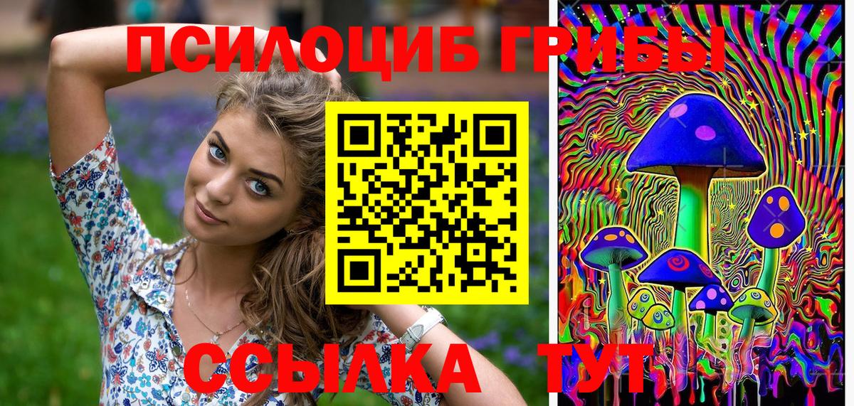 Псилоцибиновые грибы Cubensis Валуйки