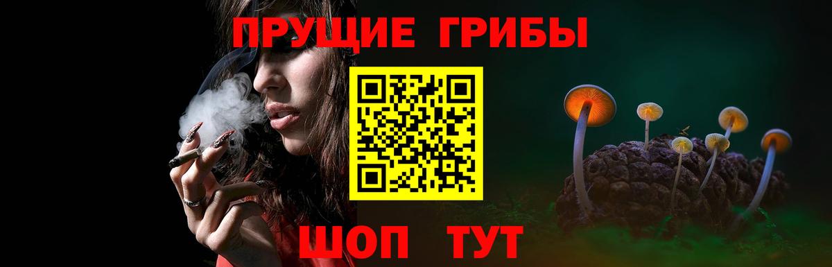 Псилоцибиновые грибы Cubensis  цены наркотик  Валуйки  Вход с VPN  Псилоцибиновые грибы GOLDEN TEACHER 